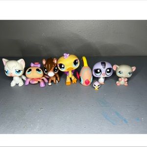 lps lot